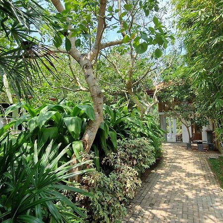 Villa Arana Бентота Экстерьер фото