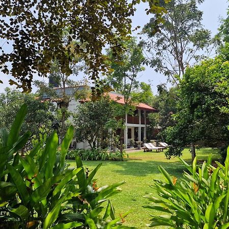 Villa Arana Бентота Экстерьер фото