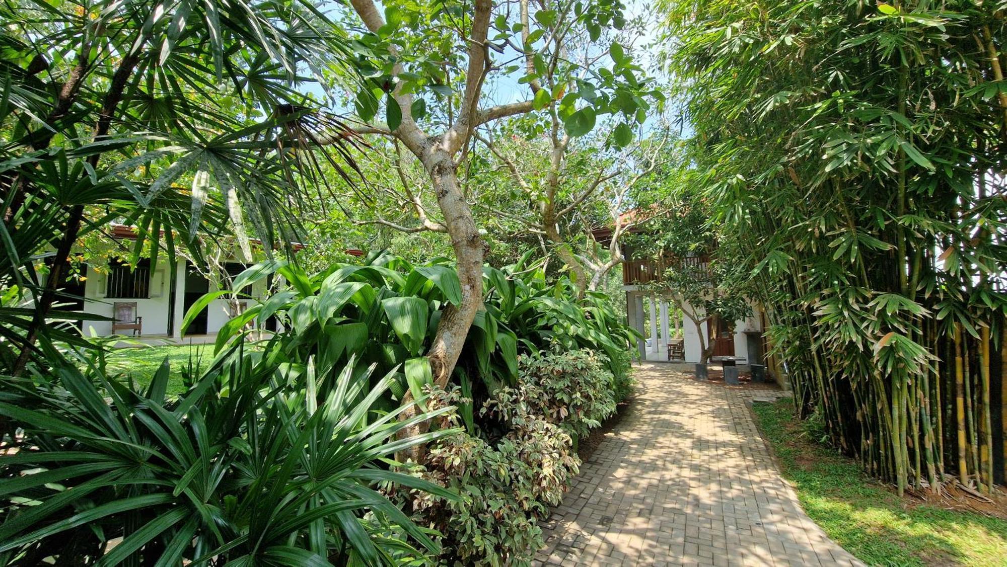 Villa Arana Бентота Экстерьер фото