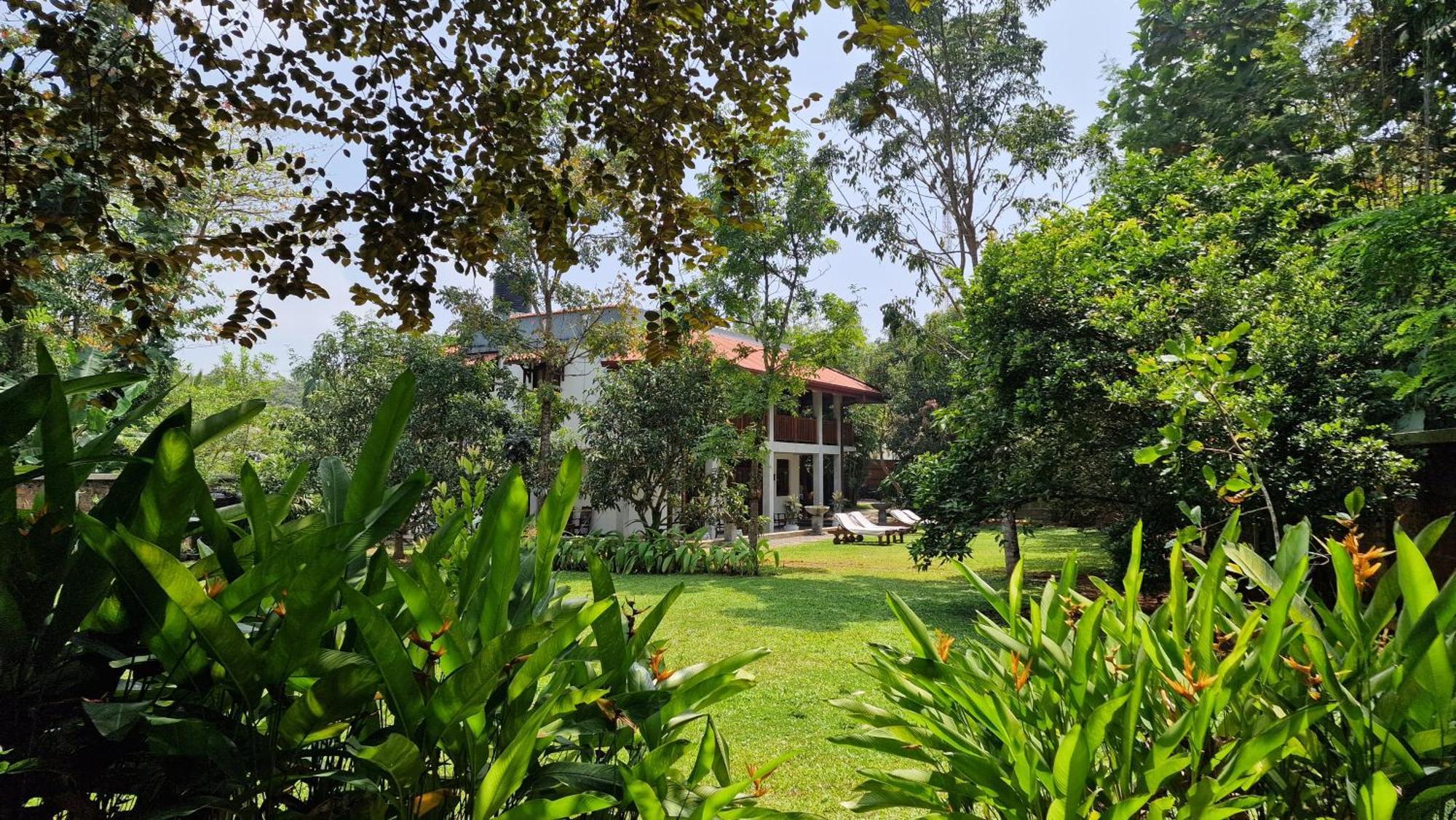 Villa Arana Бентота Экстерьер фото