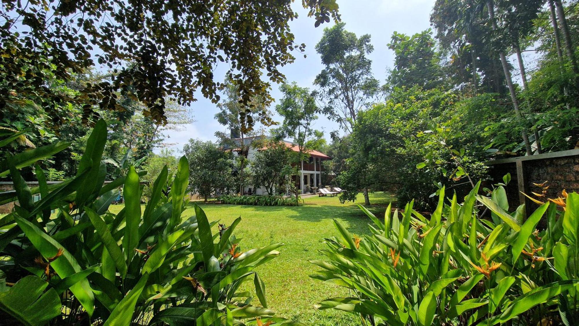 Villa Arana Бентота Экстерьер фото